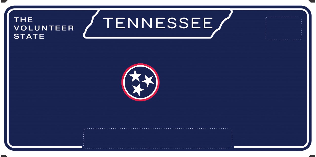 Standard license plate design